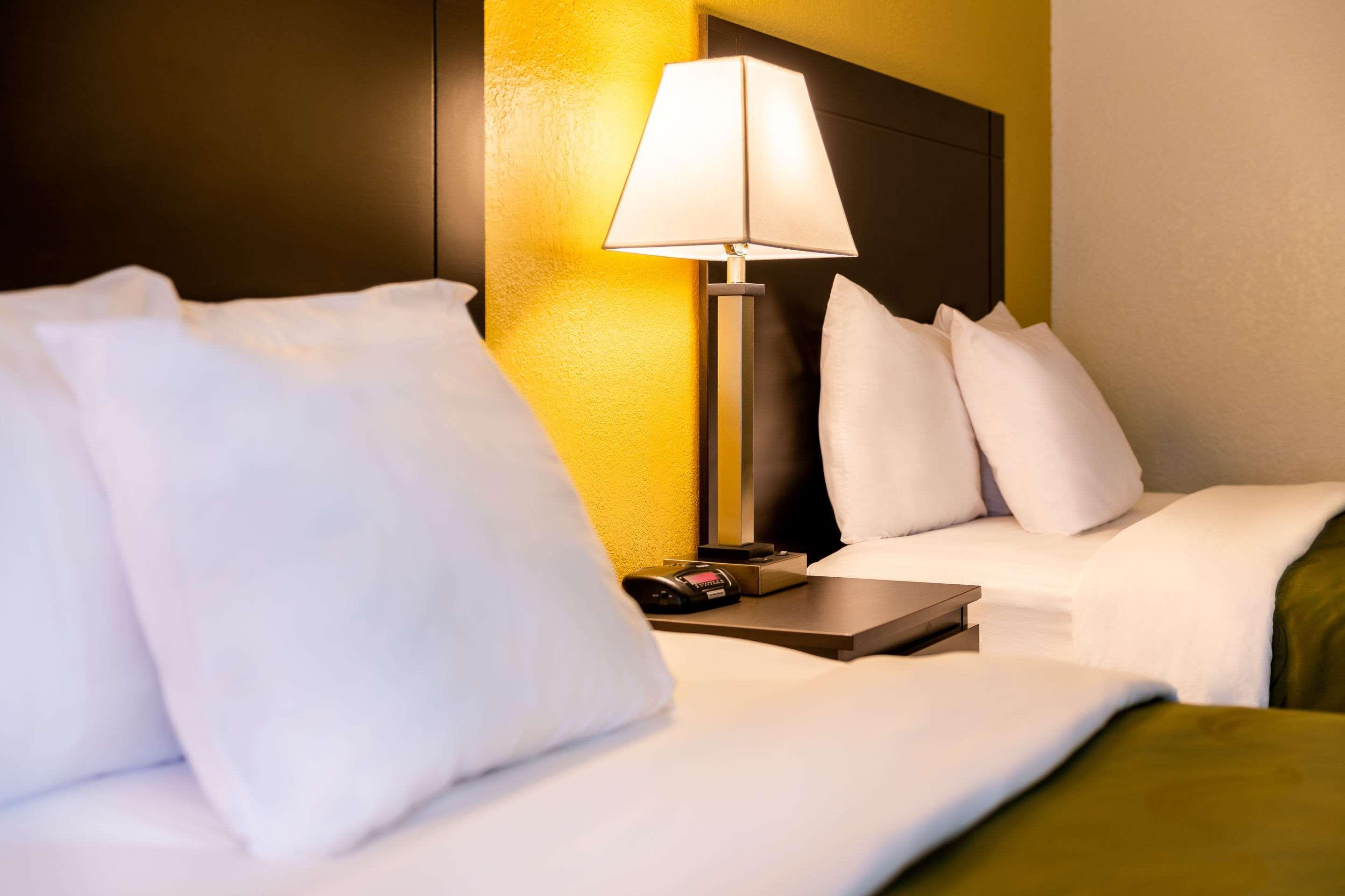 Quality Inn At Arlington Highlands Dış mekan fotoğraf